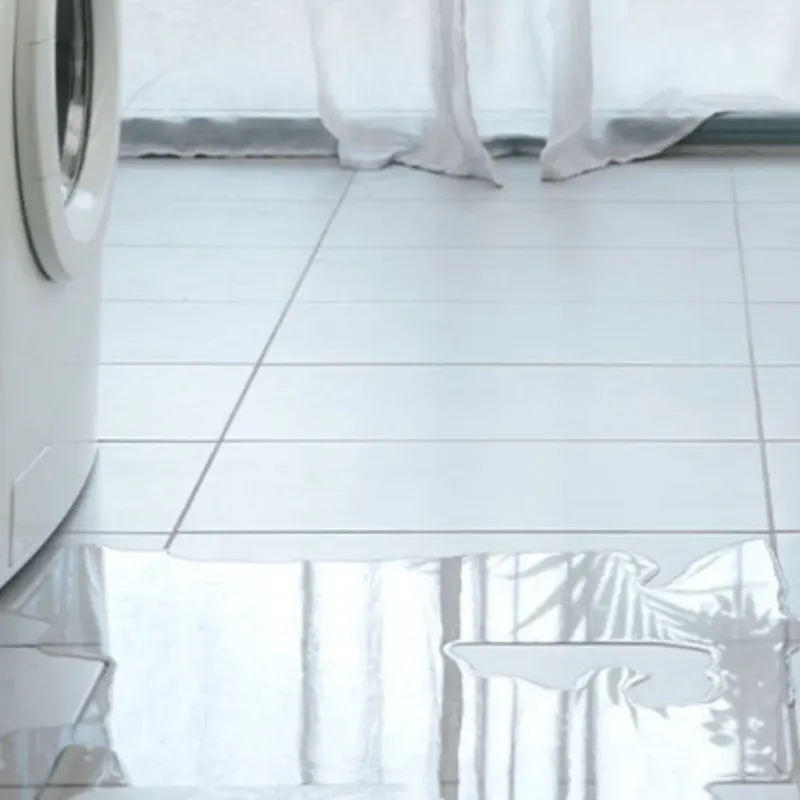 Appliance Leak Cleanup in Clear Lake, IA