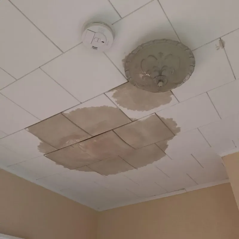 Ceiling Water Damage Repair in Clear Lake, IA
