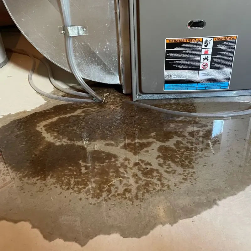 Pipe Burst and Leak Restoration in Clear Lake, IA