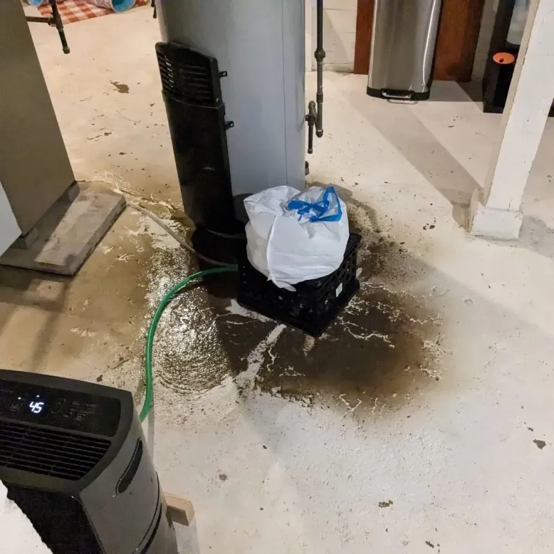 Sewage Backup Cleanup Service in Clear Lake, IA
